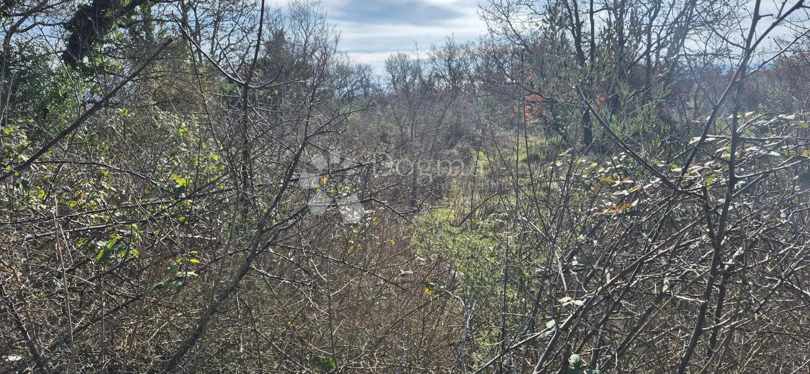 kombinirano građevinsko zemljište 850 m2 i poljoprivredno zemljište 3726 m2 - slika 8