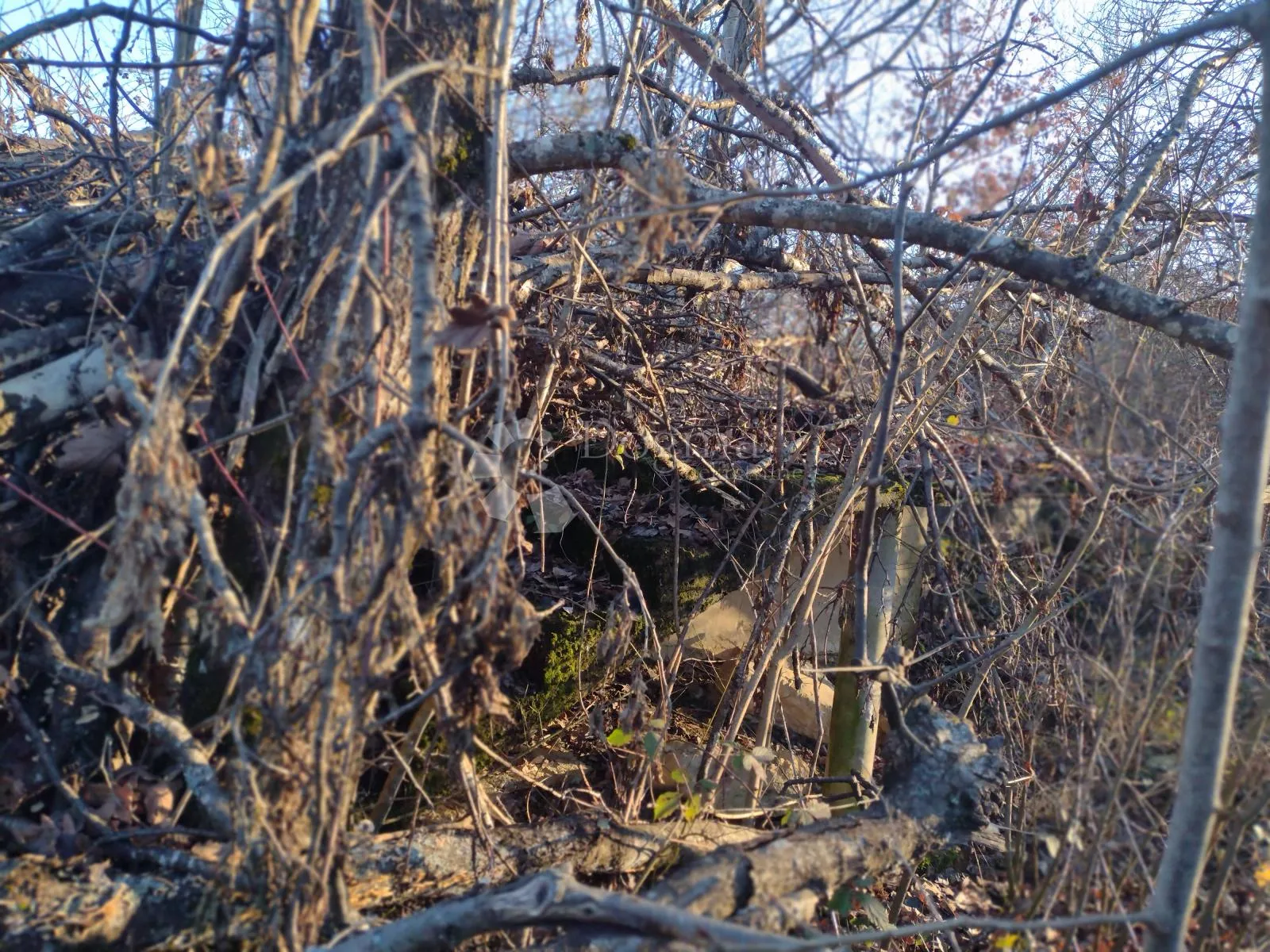 1690m2 građeviskog, 6.7ha poljoprivrednog - slika 6