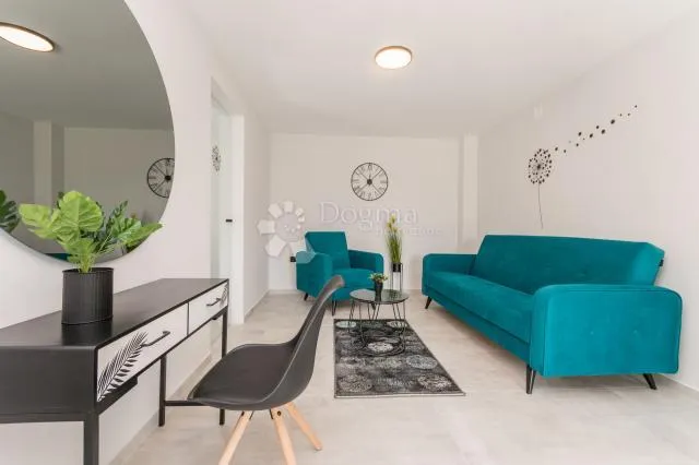 vila s bazenom i velikim maslinikom, crno - zadar! - slika 6