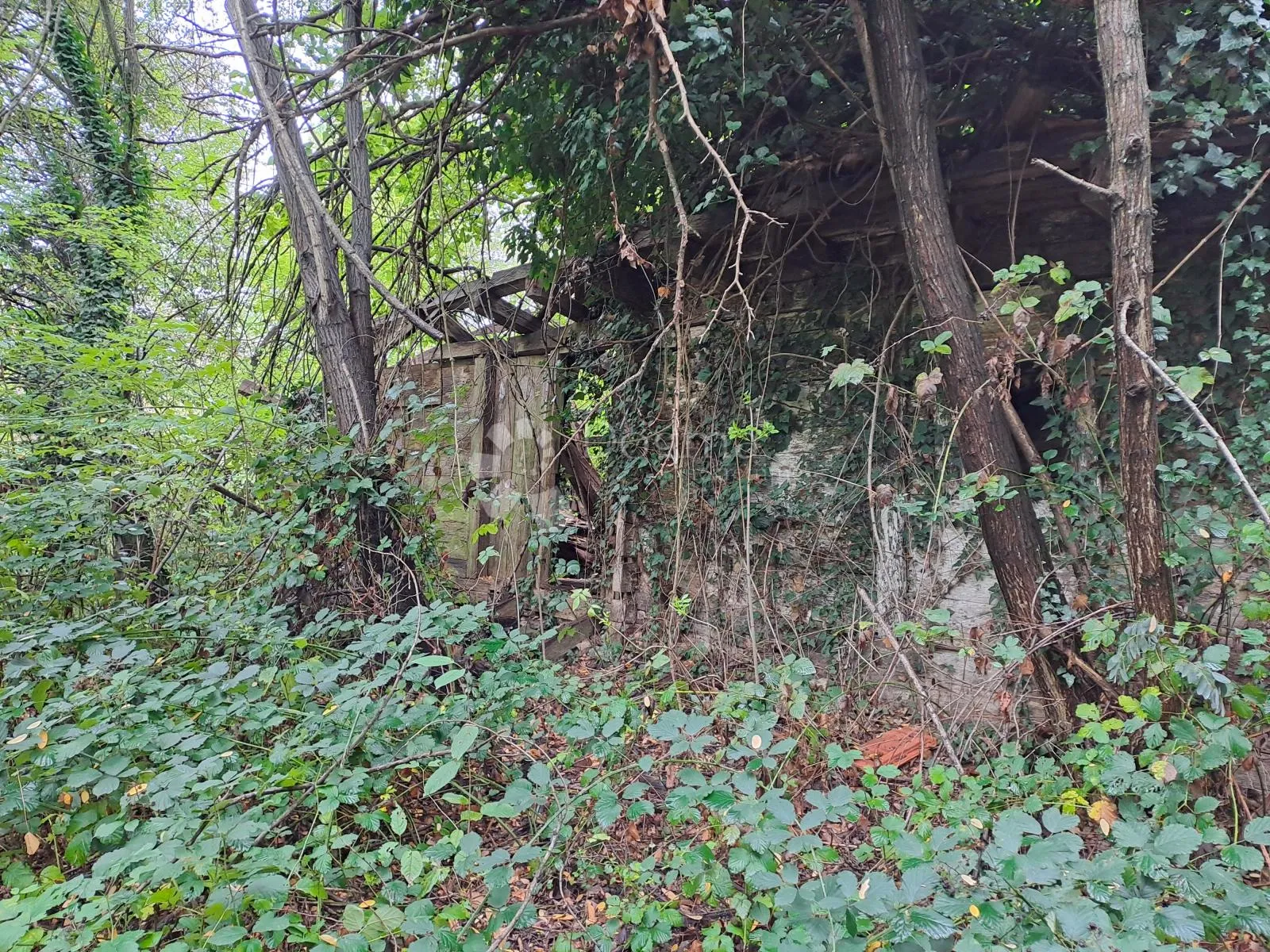 drvena kuća i izvor u šumi - slika 4