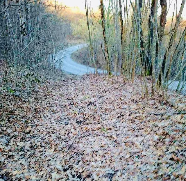 ogulin - poljoprivredno zemljište s potencijalom - slika 6
