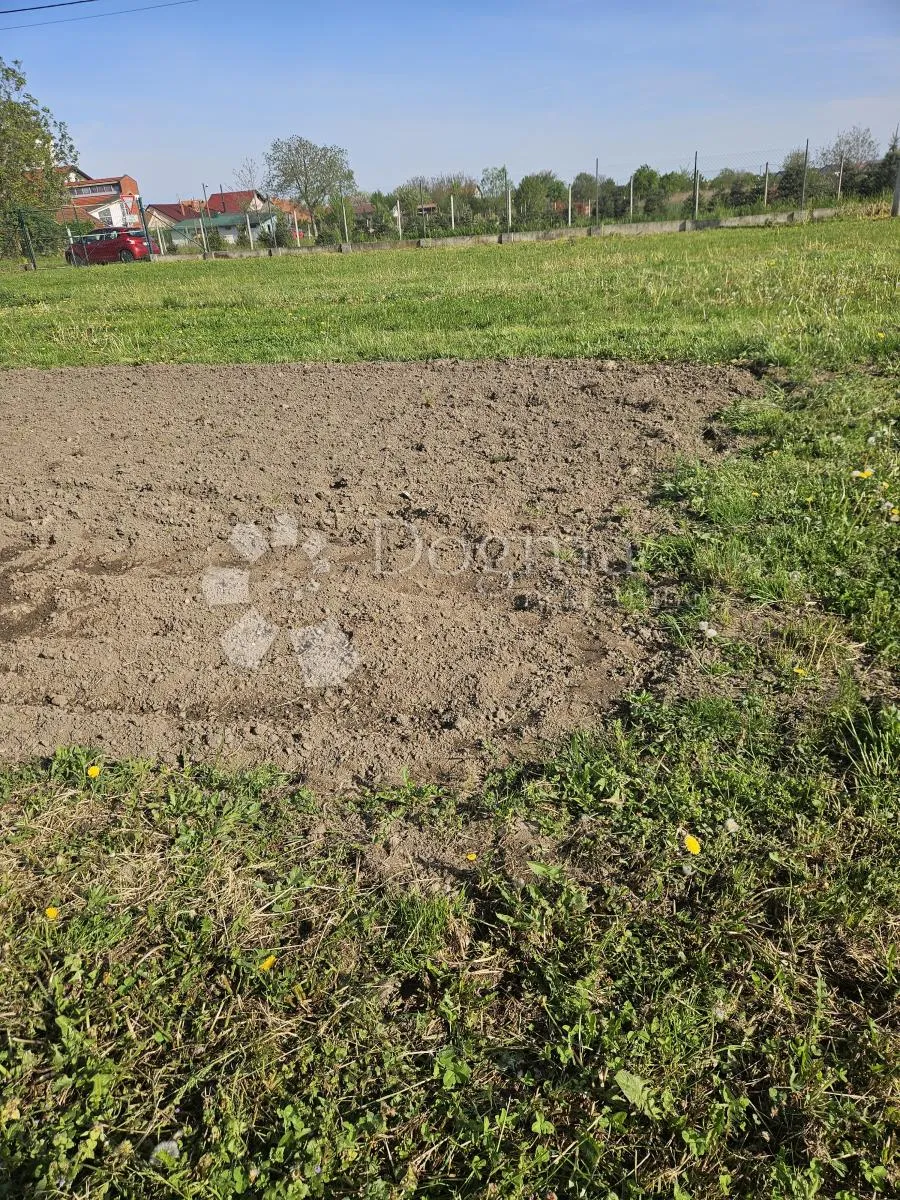 fenomenalno zemljište - slika 4