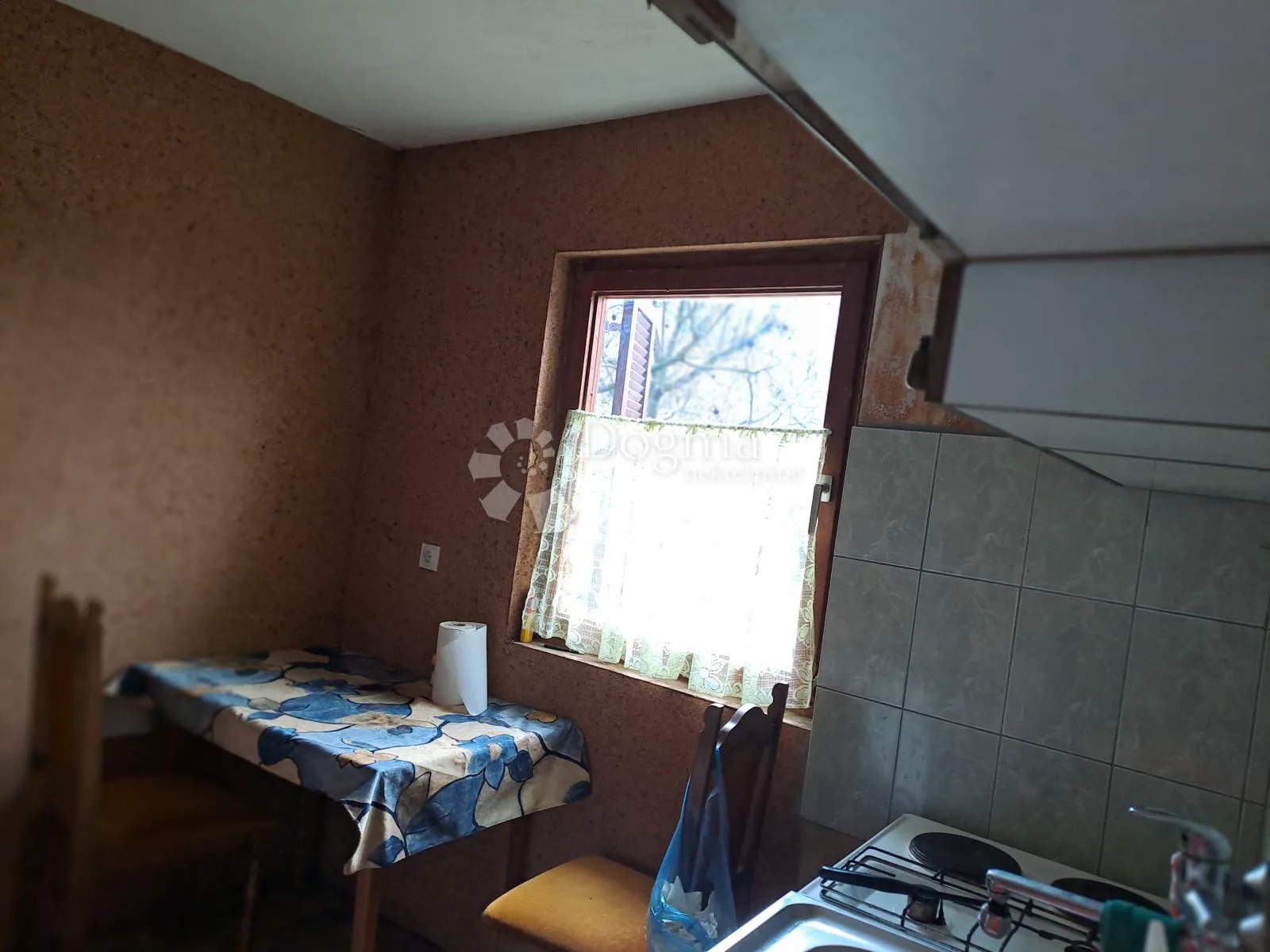 povoljna viksa na vrhu brda - slika 10