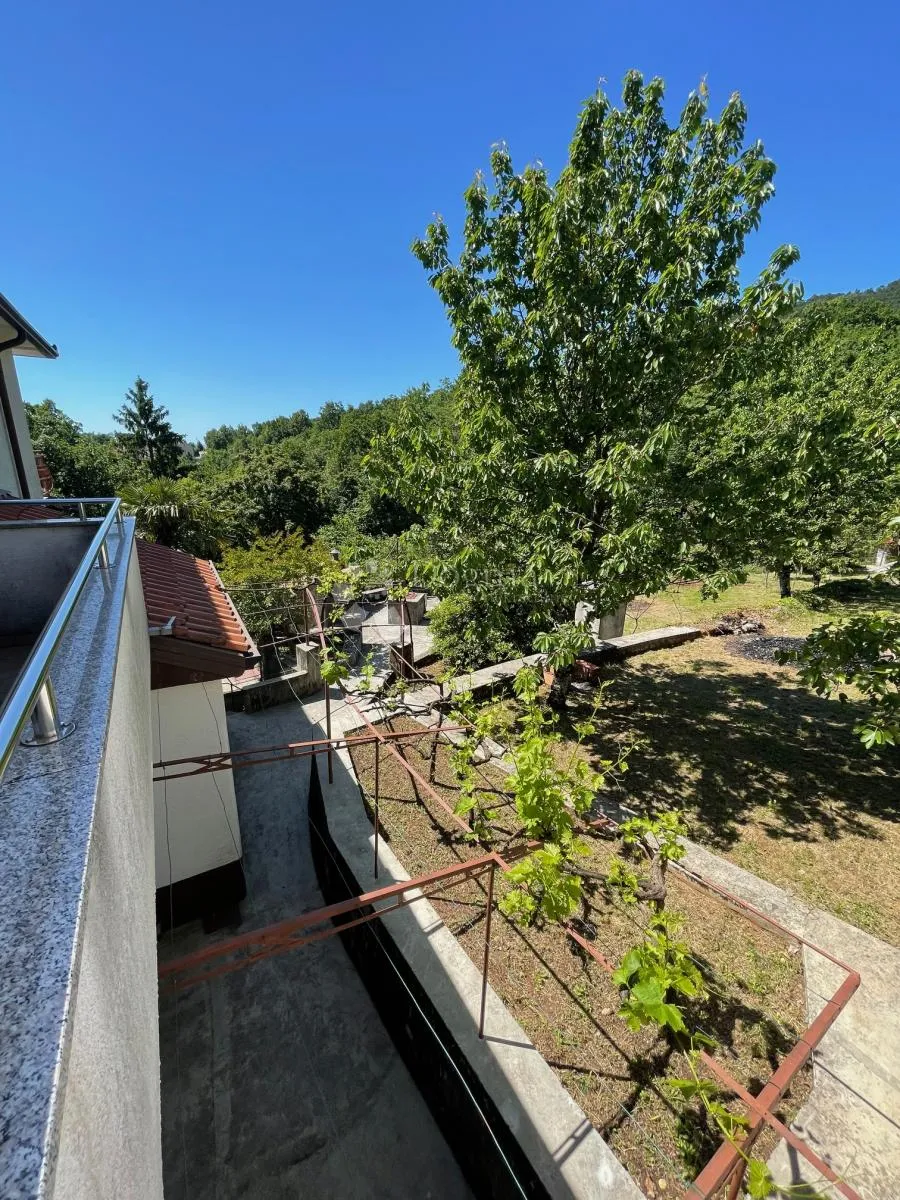 komadić raja koji traži pažnju - slika 28