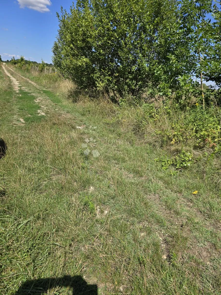 poljoprivredno zemljište zelengaj - slika 3