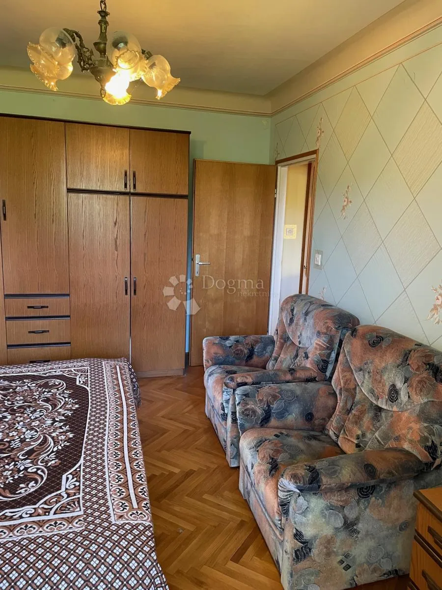 komadić raja koji traži pažnju - slika 46