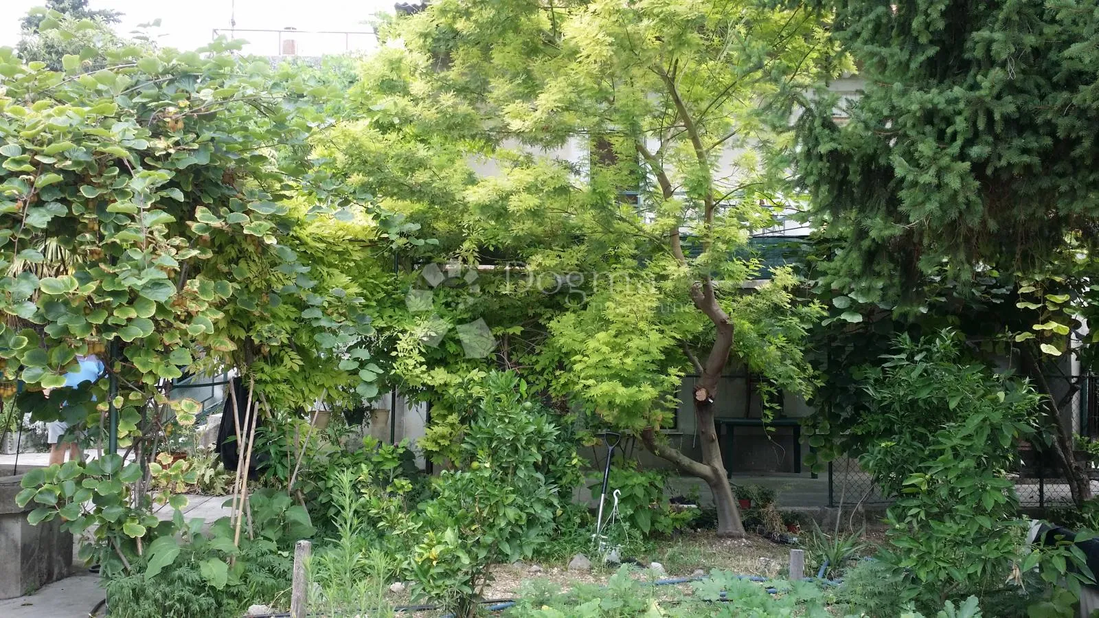 samostojeća kuća s velikom okućnicom – kaštel štafilić - slika 37