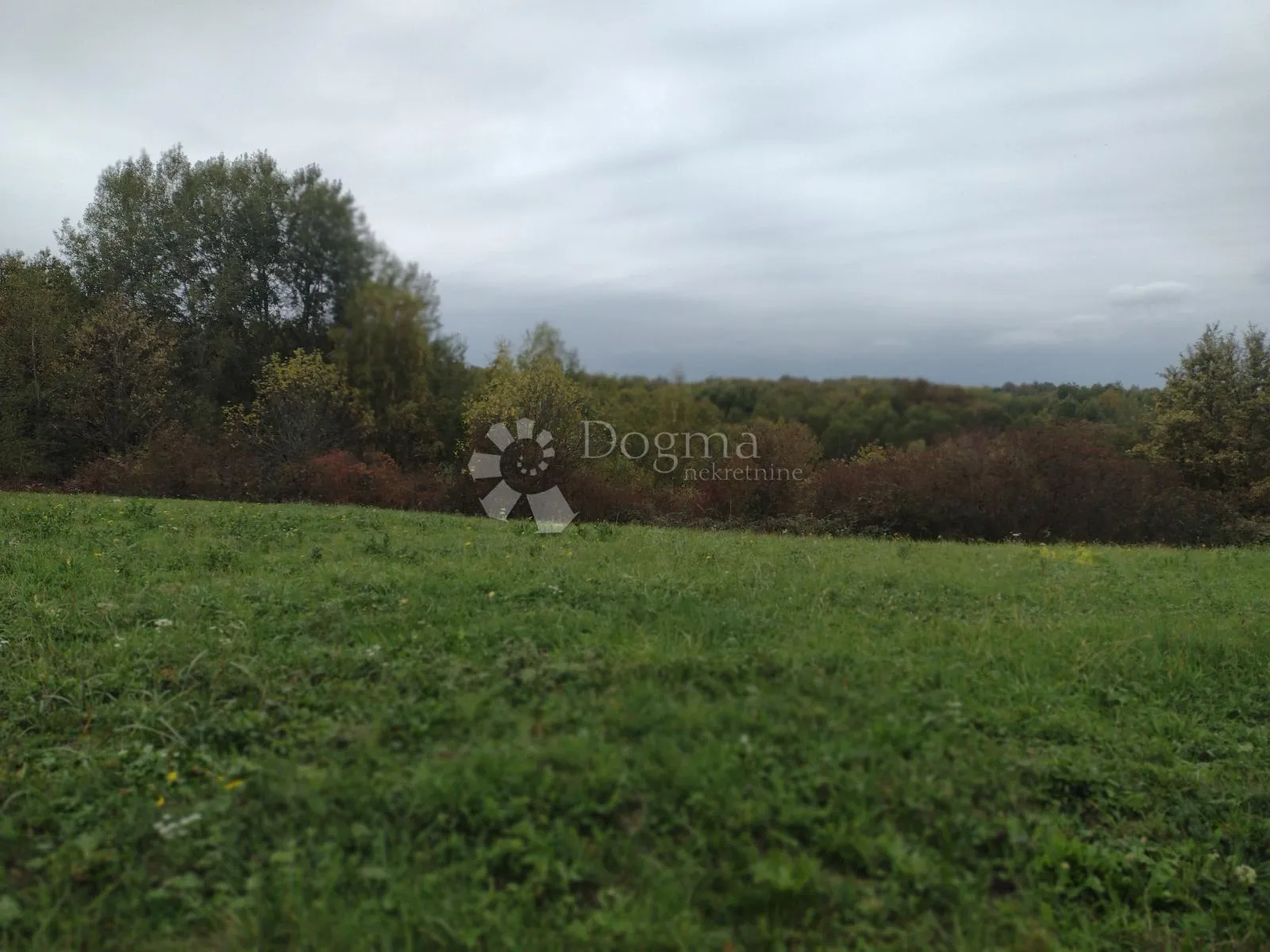 šuma uz 2 potoka - slika 3