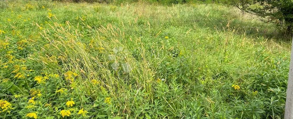 ekskluzivno građevinsko zemljište – gornja stubica, blizu zagreba - slika 5