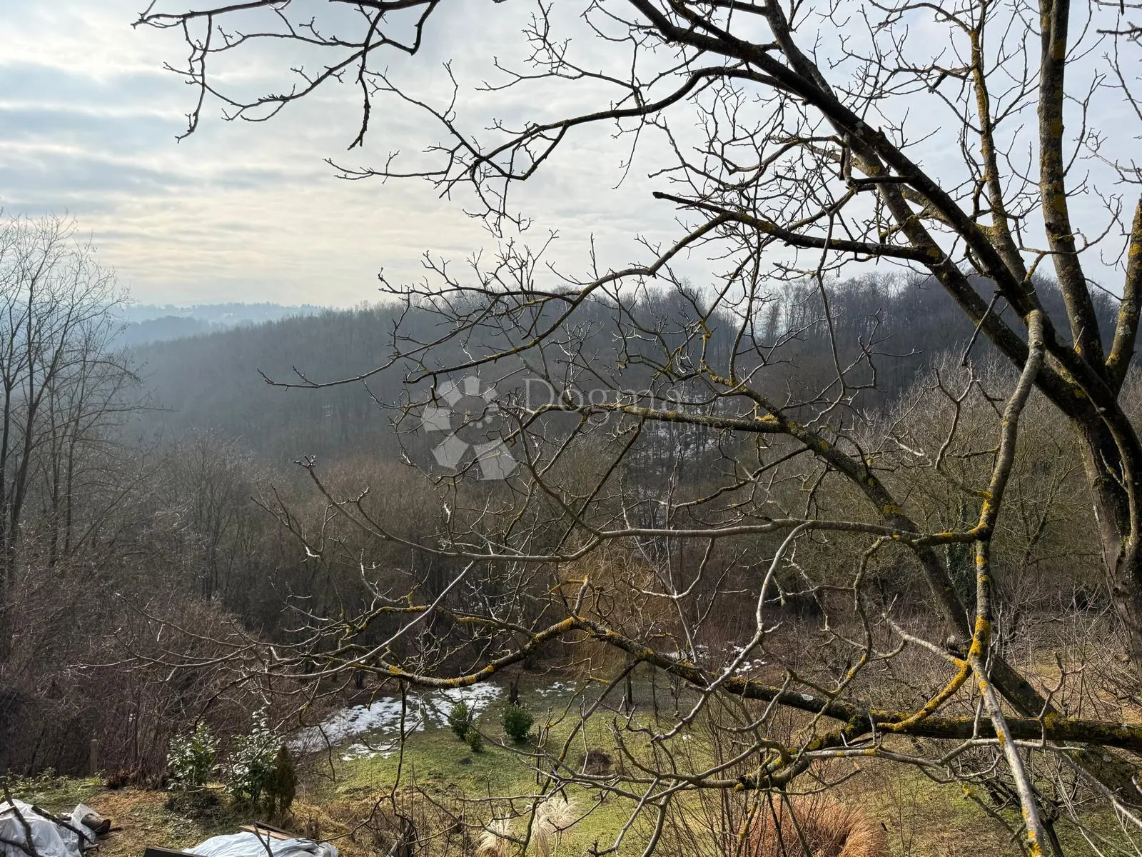 kuća na osami s pogledom na šumu - slika 13