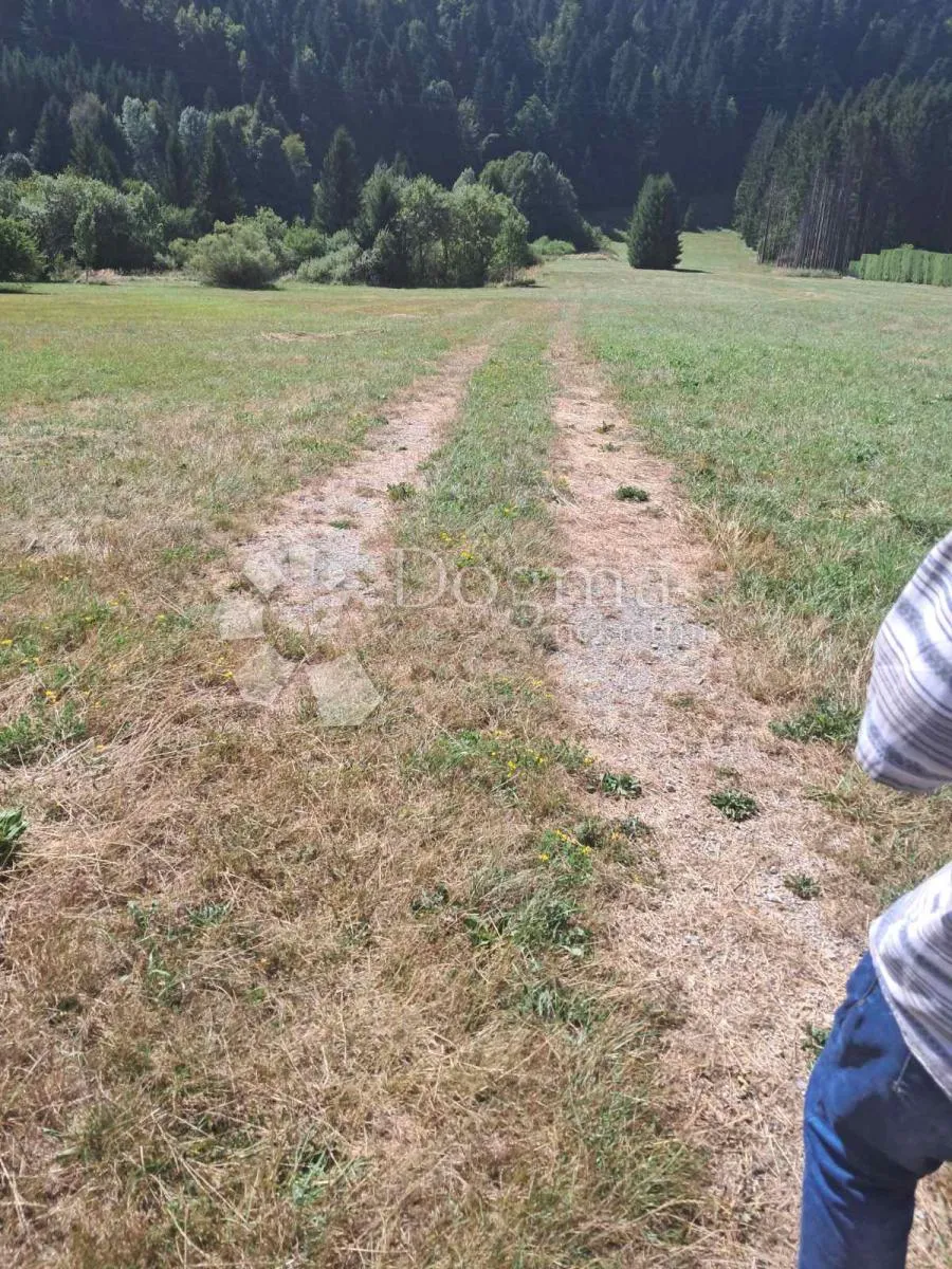 predivni raskošni teren u ravnoj gori - slika 5