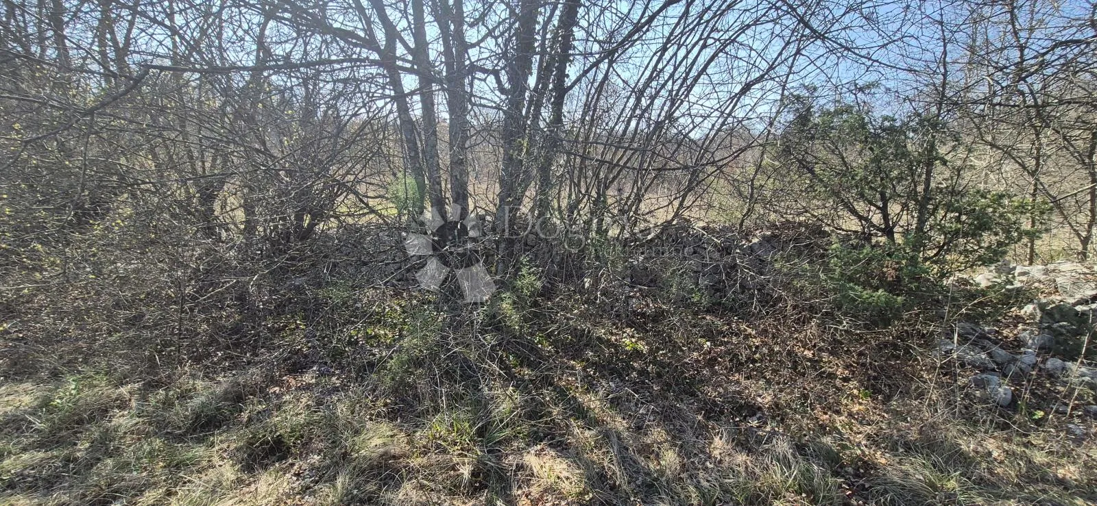 poljoprivredno zemljište površine 7962 m2 - slika 27
