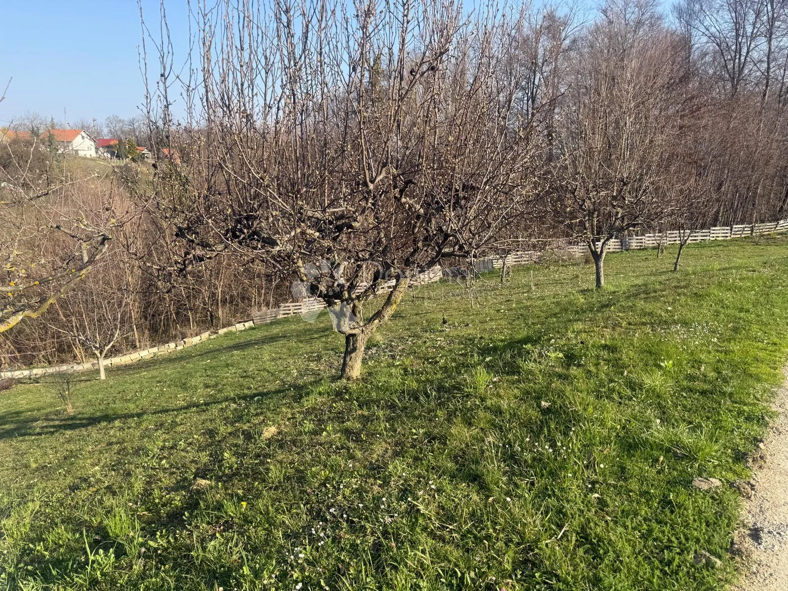 mir, priroda i 1245 m² za vaš dom - slika 7