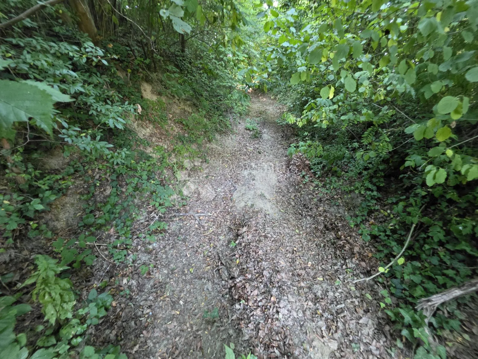 Poljoprivredno zemljište šuma 1.547m² Dubrovčan, kraj Zaboka i Velikog Trgovišća - Dubrovčan, Veliko Trgovišće