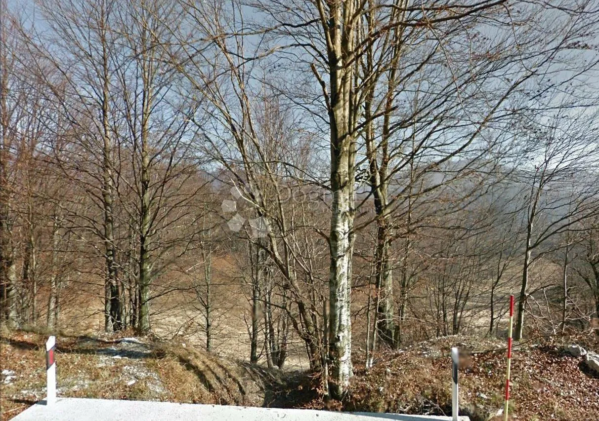 Gornje Jelenje - idealan teren u T zoni - Bakar