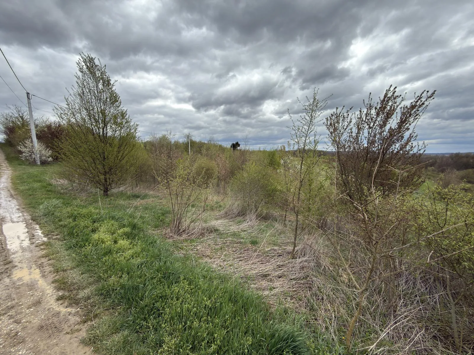 ekskluzivno | paukovec | 6.150 m2 | samo u dogmi - slika 4