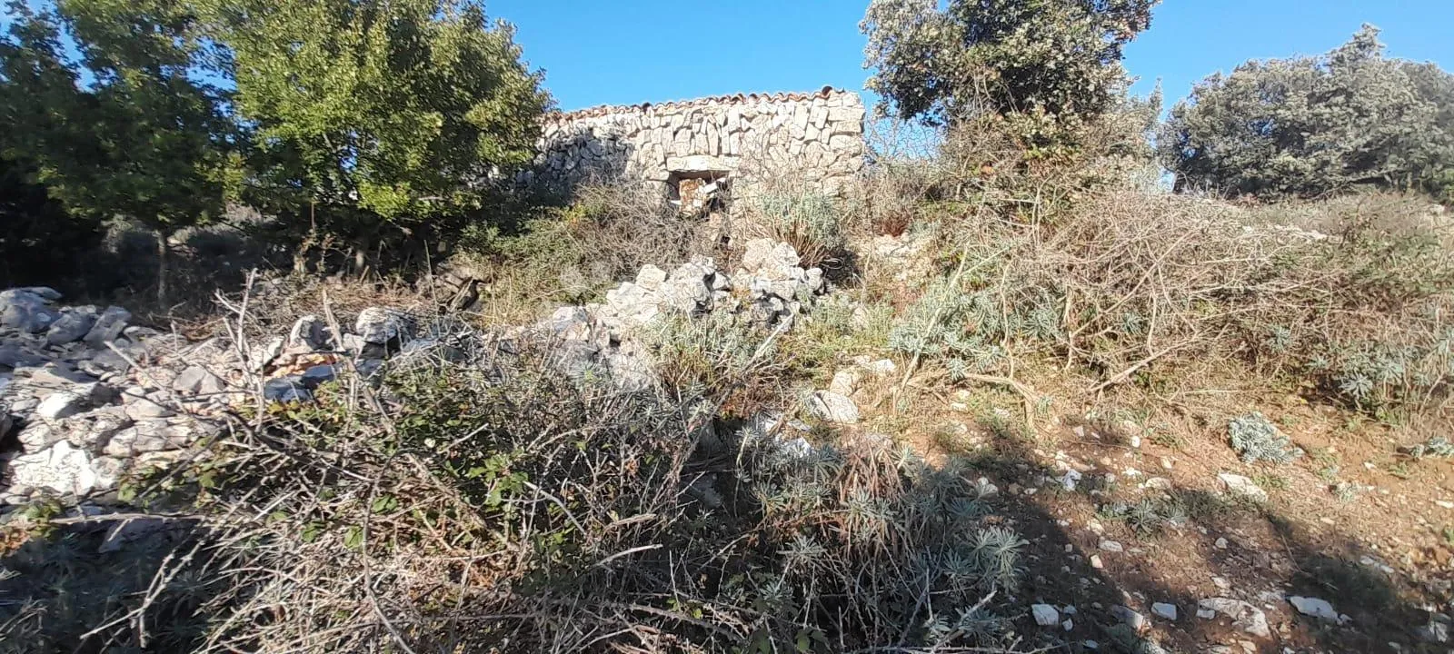 cres, belej poljoprivredno zemljište s pogledom na more - slika 3