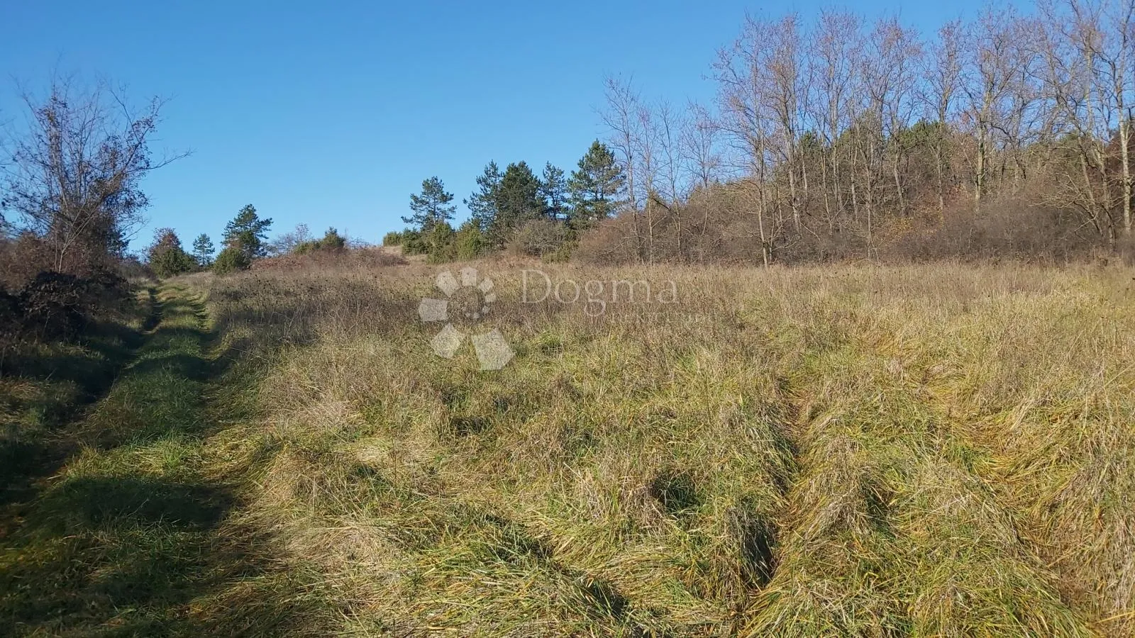 TRVIŽ, prostrano poljoprivredno zemljište - Trviž, Pazin
