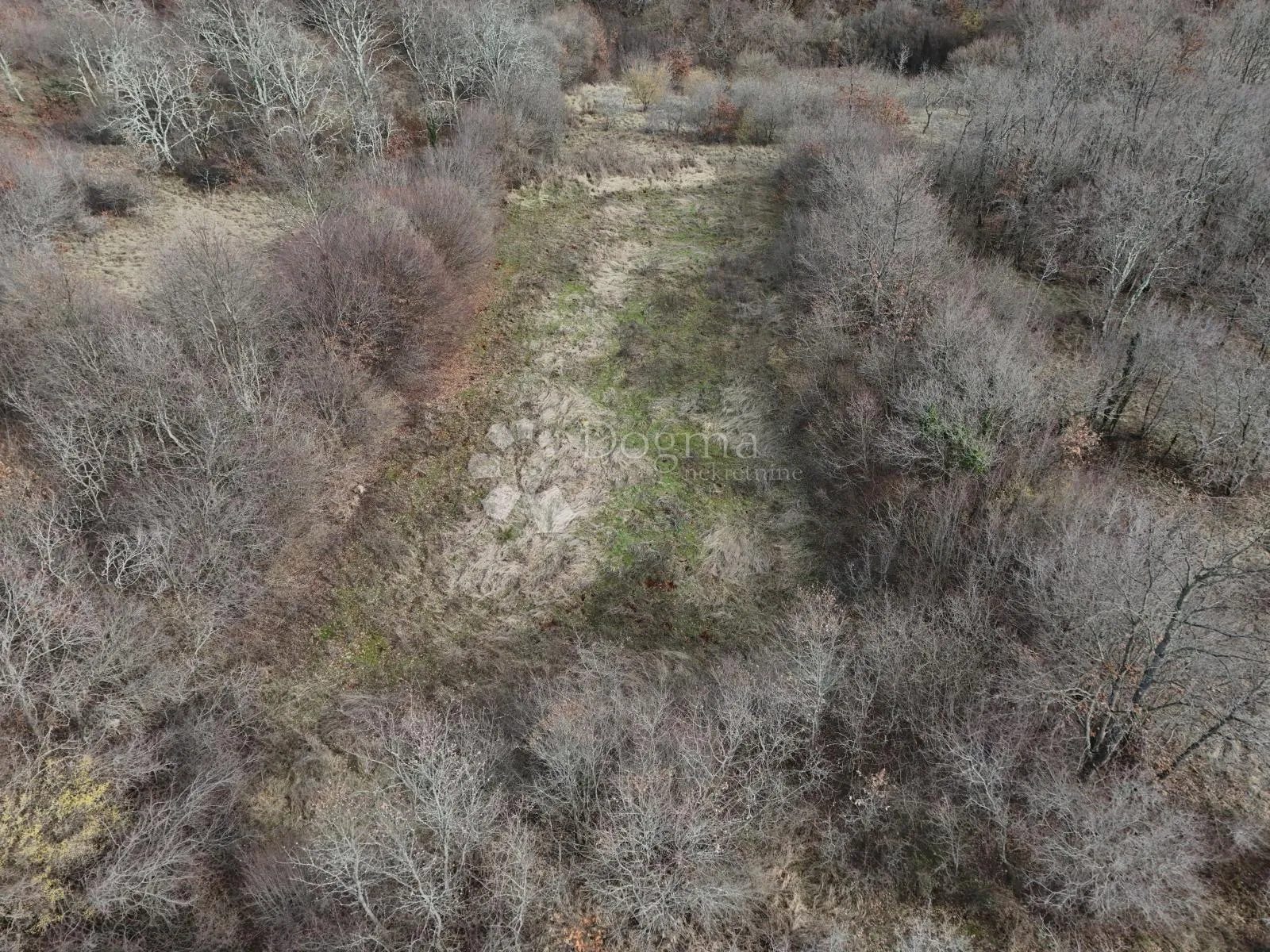 izvor hrane i života za budućnost , u manjadvorcima, 6700m2-poljoprivredno zemljište - slika 3