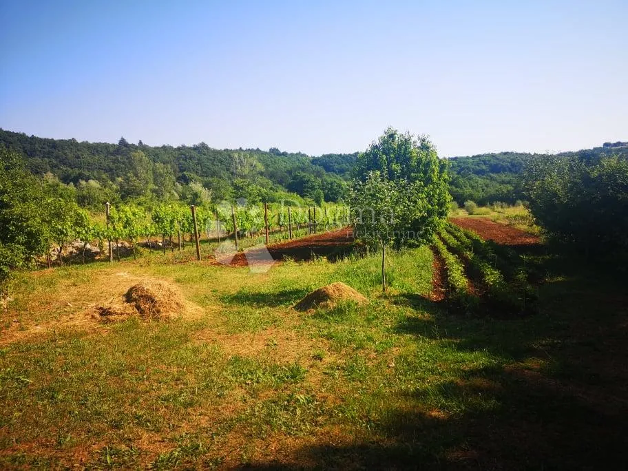 labin, okolica, imanje nadomak labina i mora - slika 12