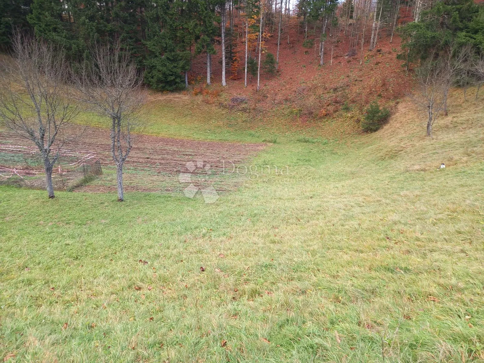 gorski kotar, stari laz, građevinsko zemljište - slika 2