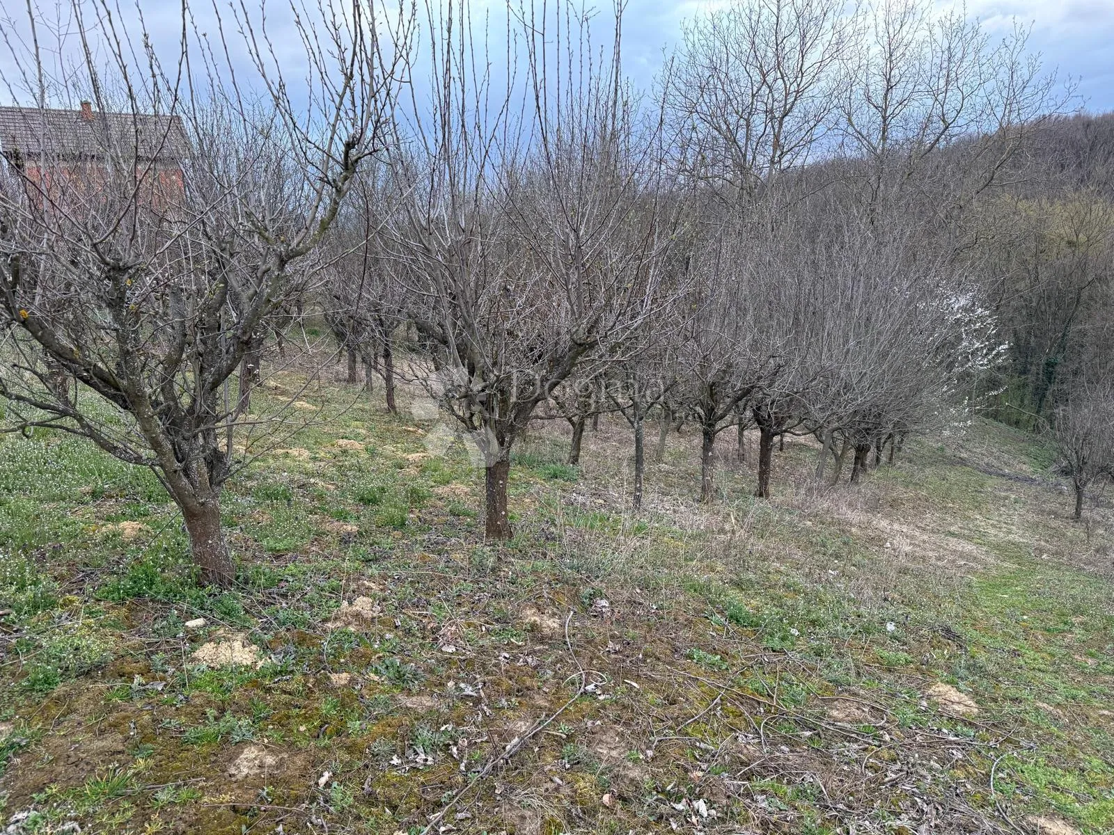zemljište u črešnjevu - slika 5