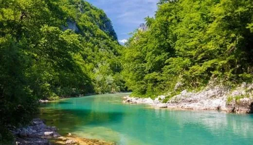 prodaja grđevinskog zemljišta netretić-kupa - slika 6