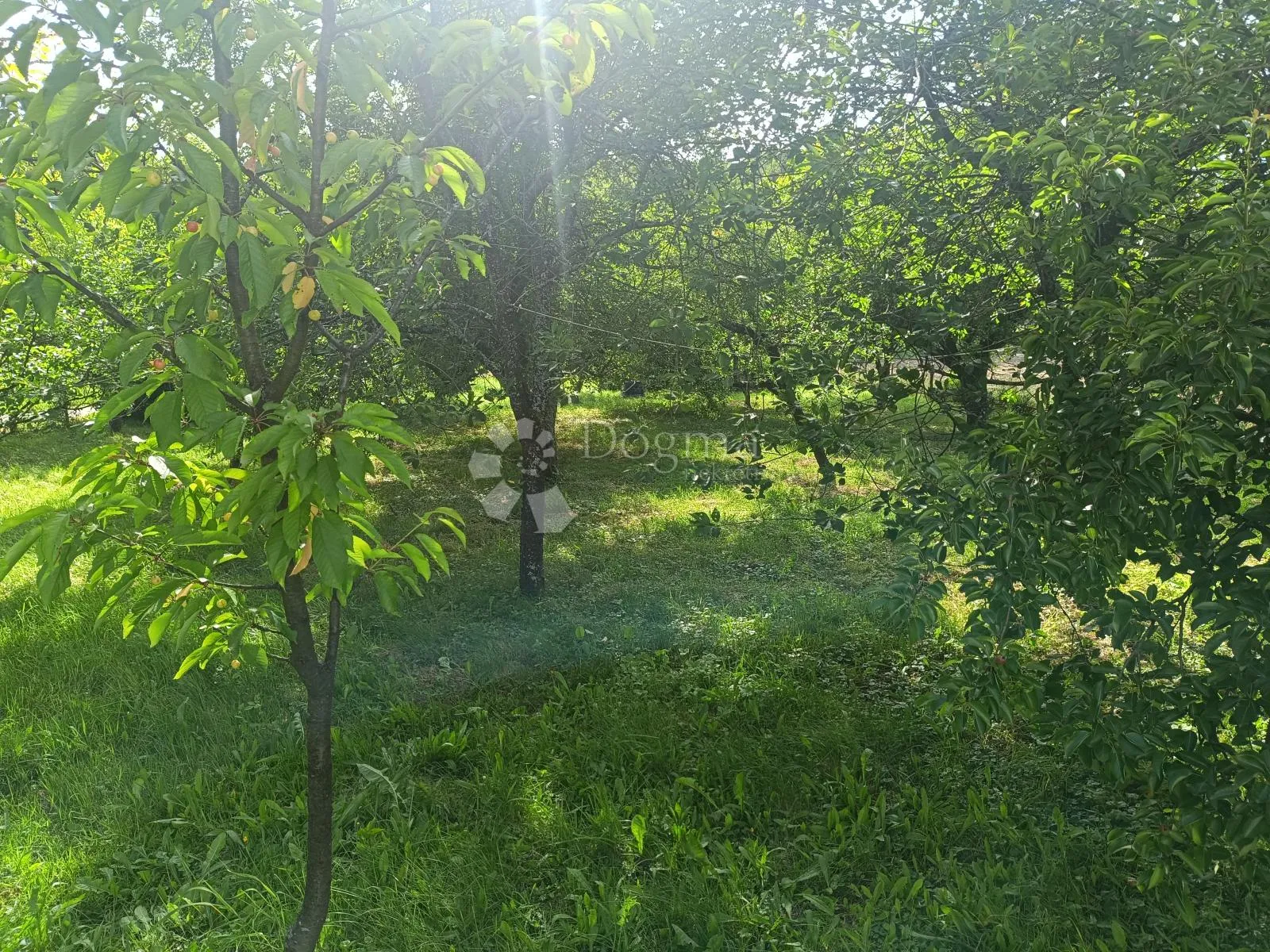 kuća u prirodi - slika 25