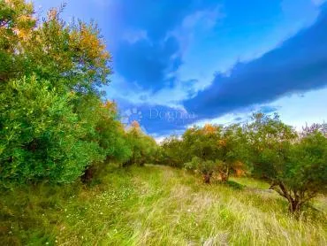 prekrasno zemljište s panoramskim pogledom na prirodu - slika 3