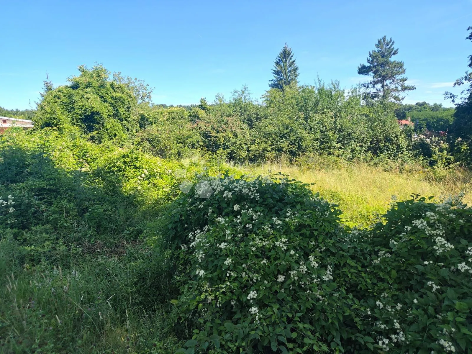 građevinsko zemljište s infrastrukturom, 2290 m² okolica pazina - slika 14