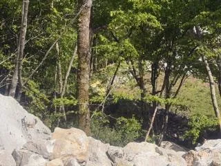 uređen građevinski teren - slika 5