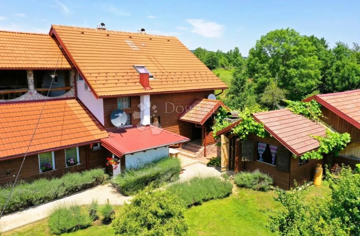 imanje kuće pomoćni objekti i zemlja 10000 m2 - slika 6
