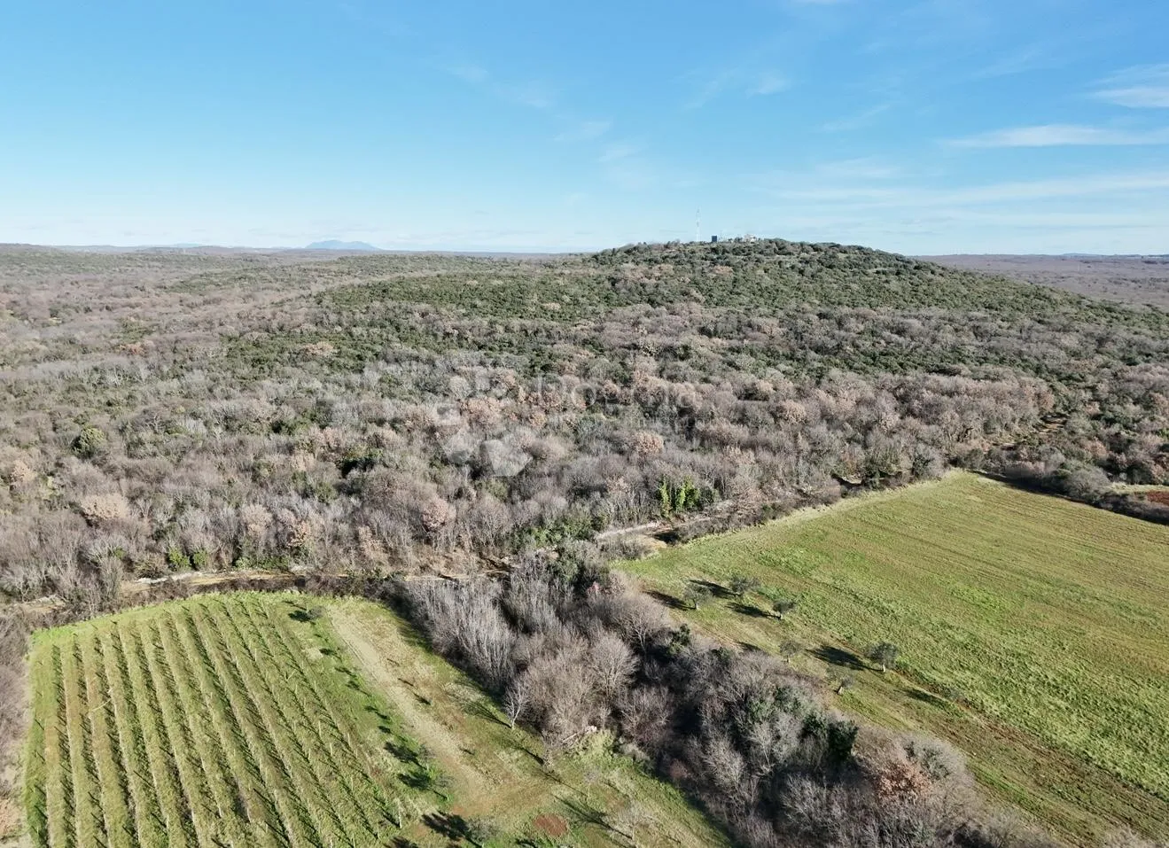 poljoprivredno zemljište bale,istra 9505m2 - slika 4