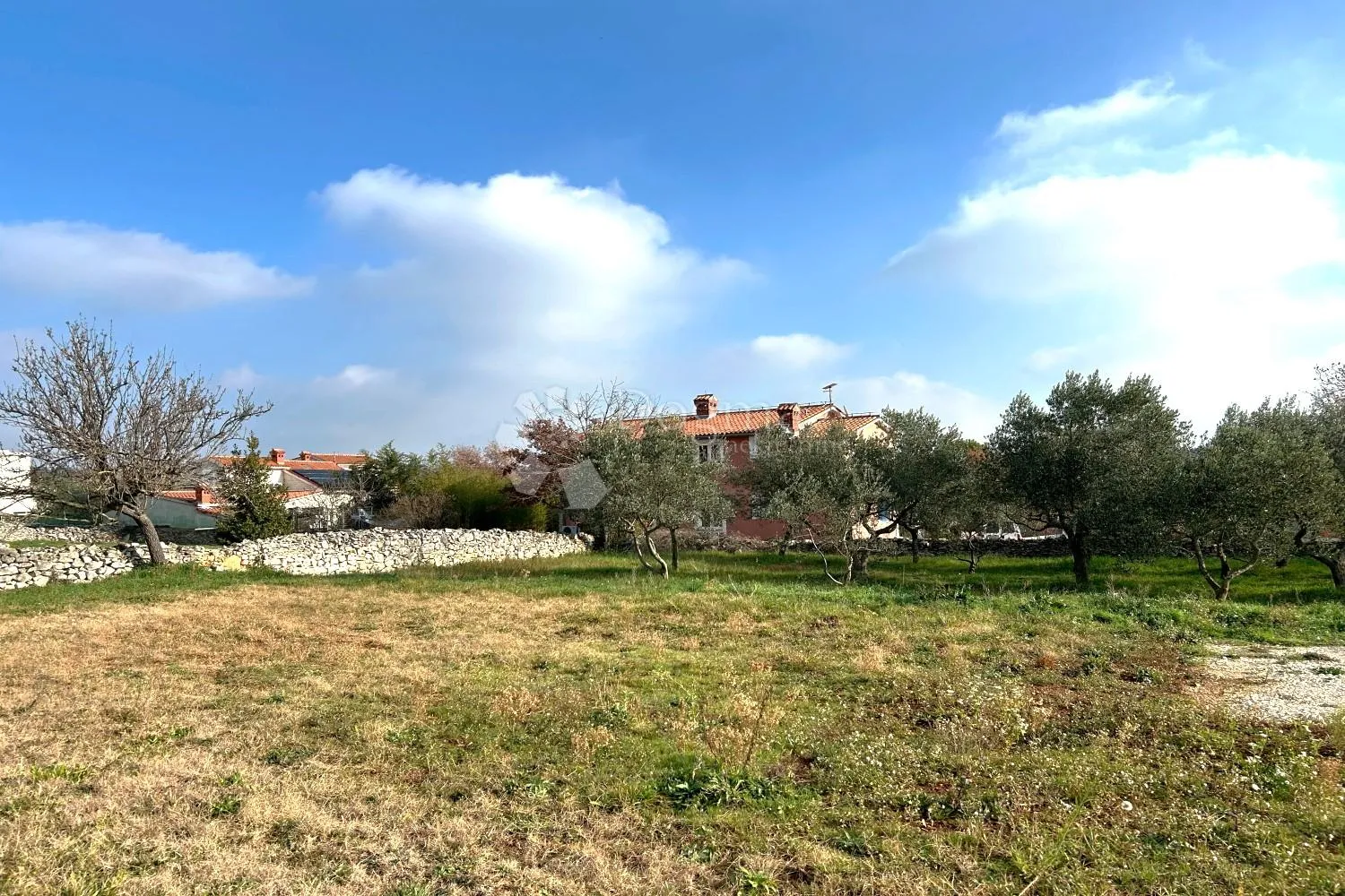 vodnjan – prekrasna ravna parcela s manjim maslinikom - slika 3
