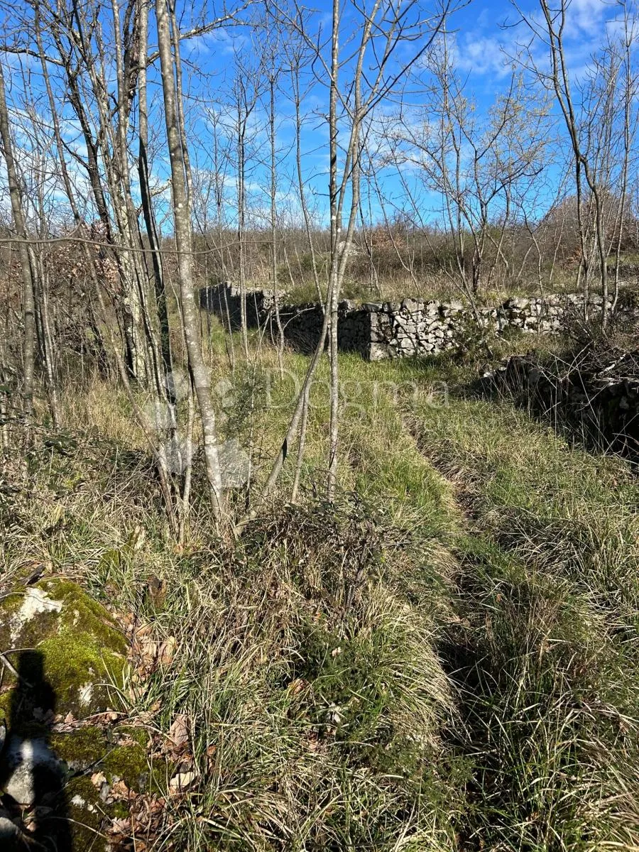veliko zemljište u kosima - slika 3