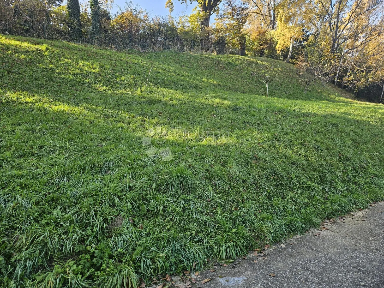 pogled govori više od riječi - slika 12