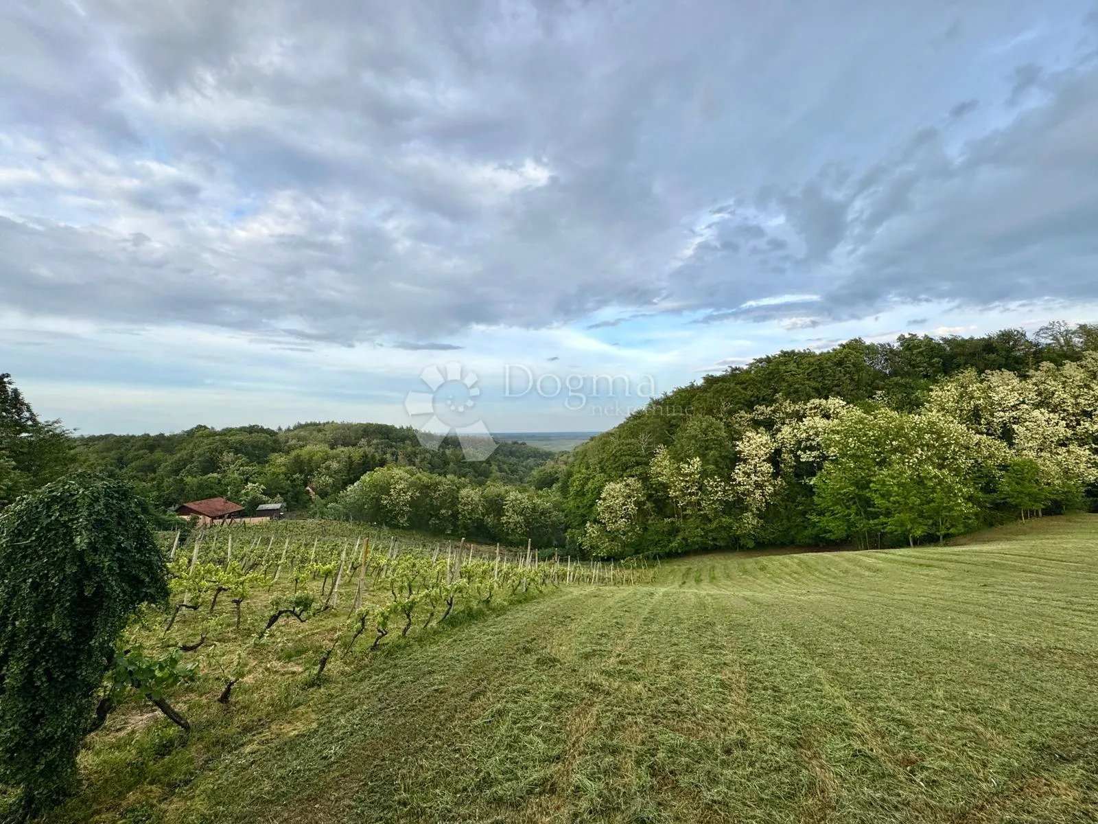 privatno imanje s vinogradima i pogledom na varaždin - slika 8