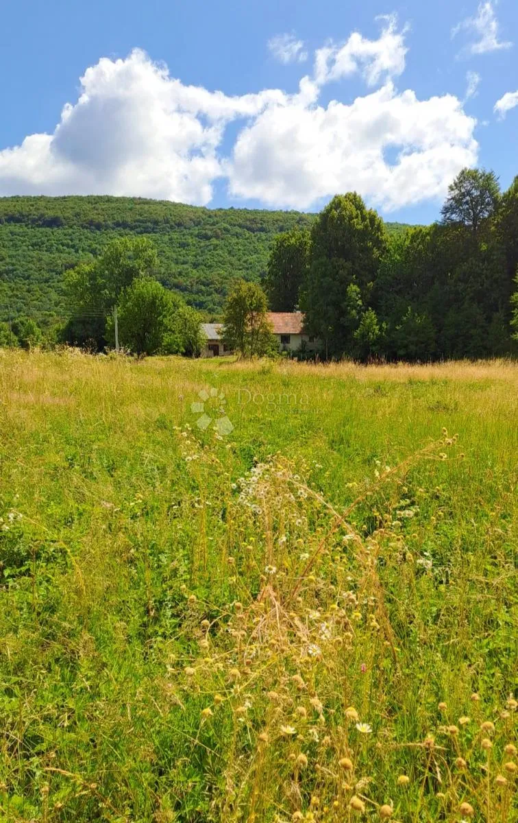 imanje na osami – 28.801m2 prirode, mira i privatnosti - slika 3