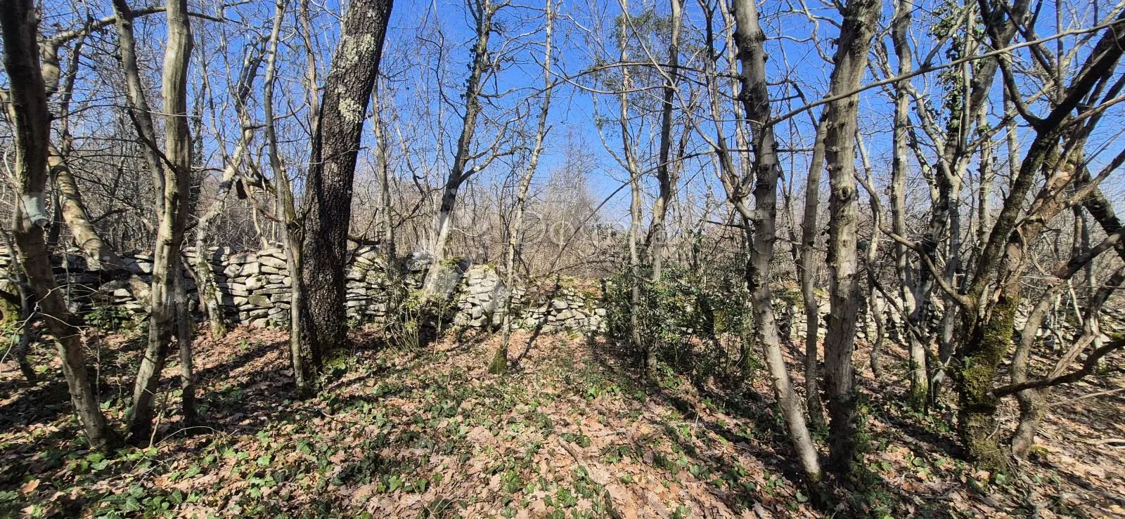 poljoprivredno zemljište površine 23953 m2 sa ogromnim potencijalom - slika 16