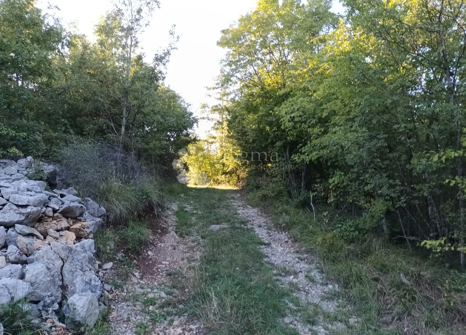 kastav, šumsko zemljište zanimljive lokacije - slika 3