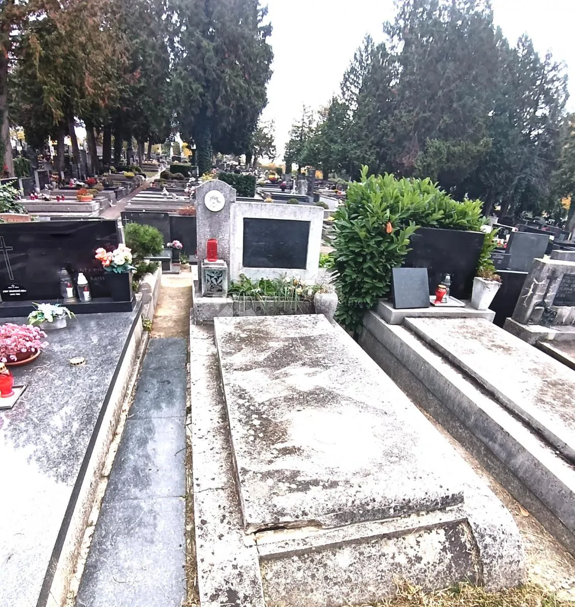 kozala-velika grobnica u centru groblja - slika 41