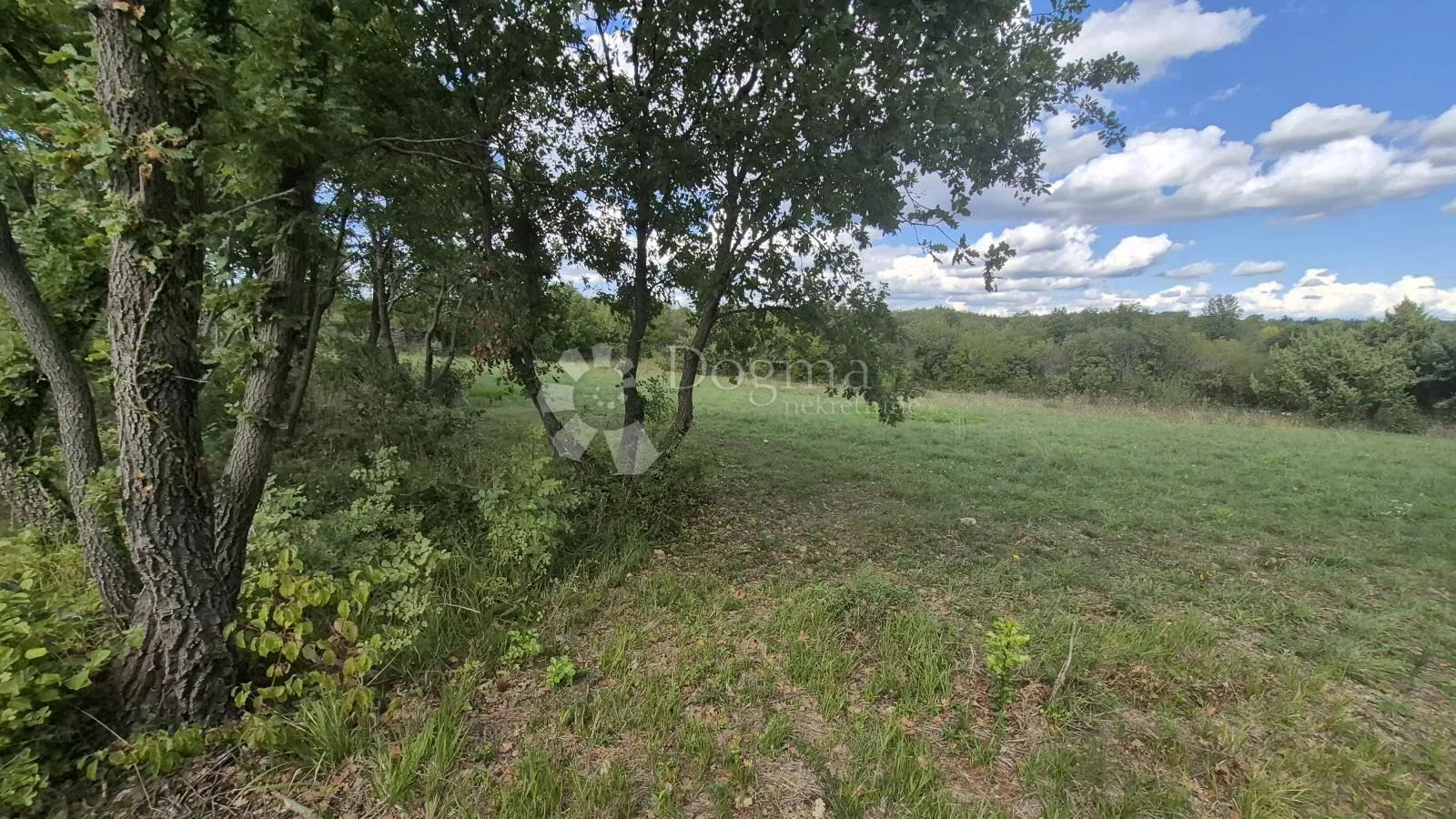 poljoprivredno zemljište sa kažunom površine 3550 m2 - slika 12