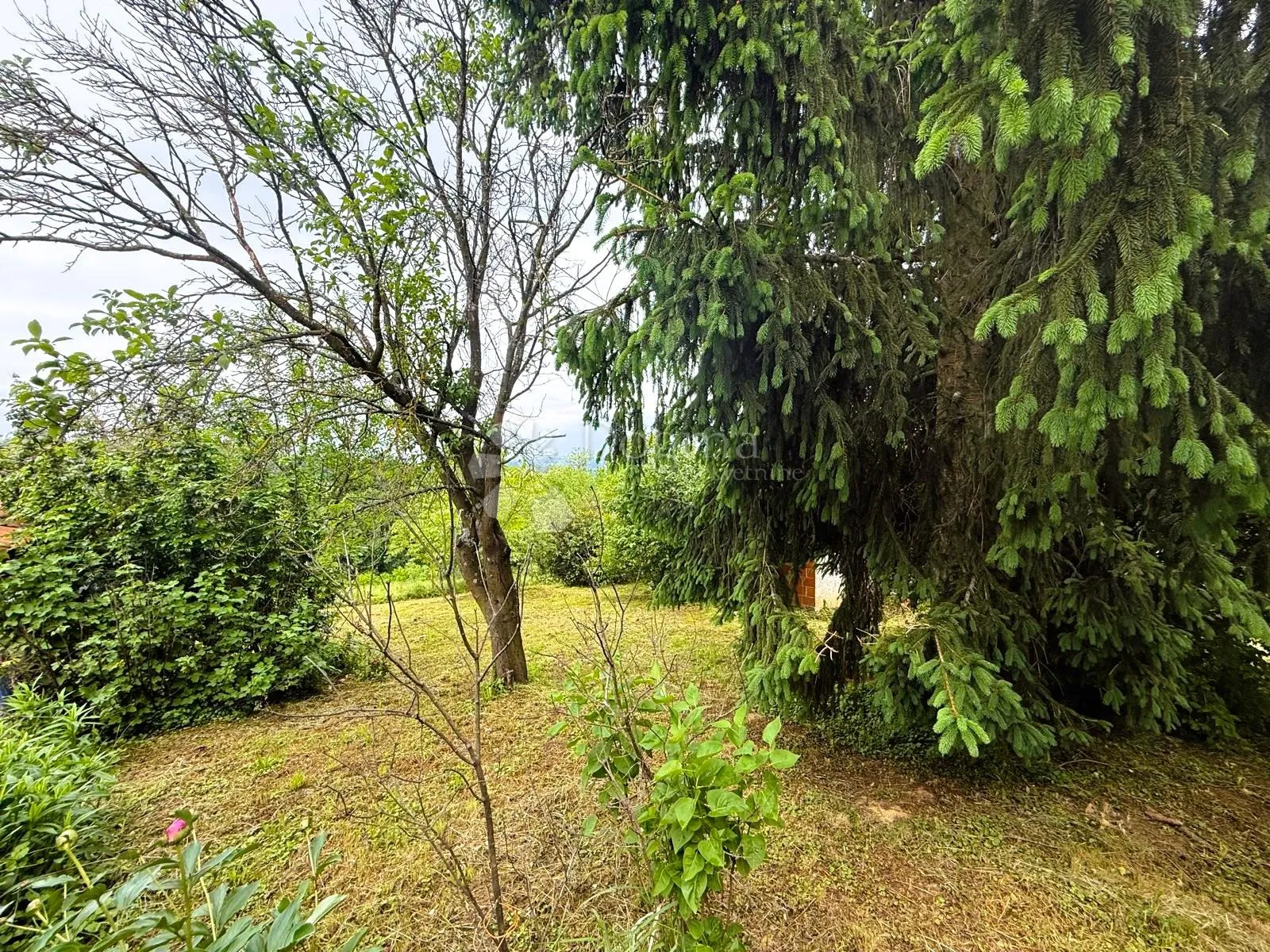 kuća za adaptaciju s vinogradom i šumom - slika 15