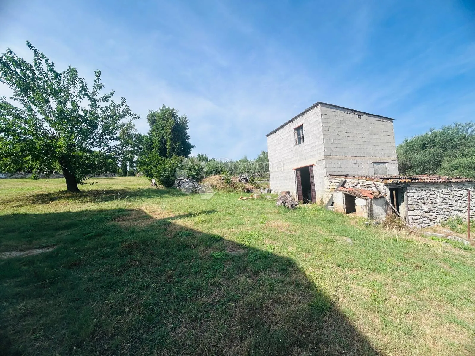 prilika!kuća s dva stana + 8153 okućnice - buje - slika 5