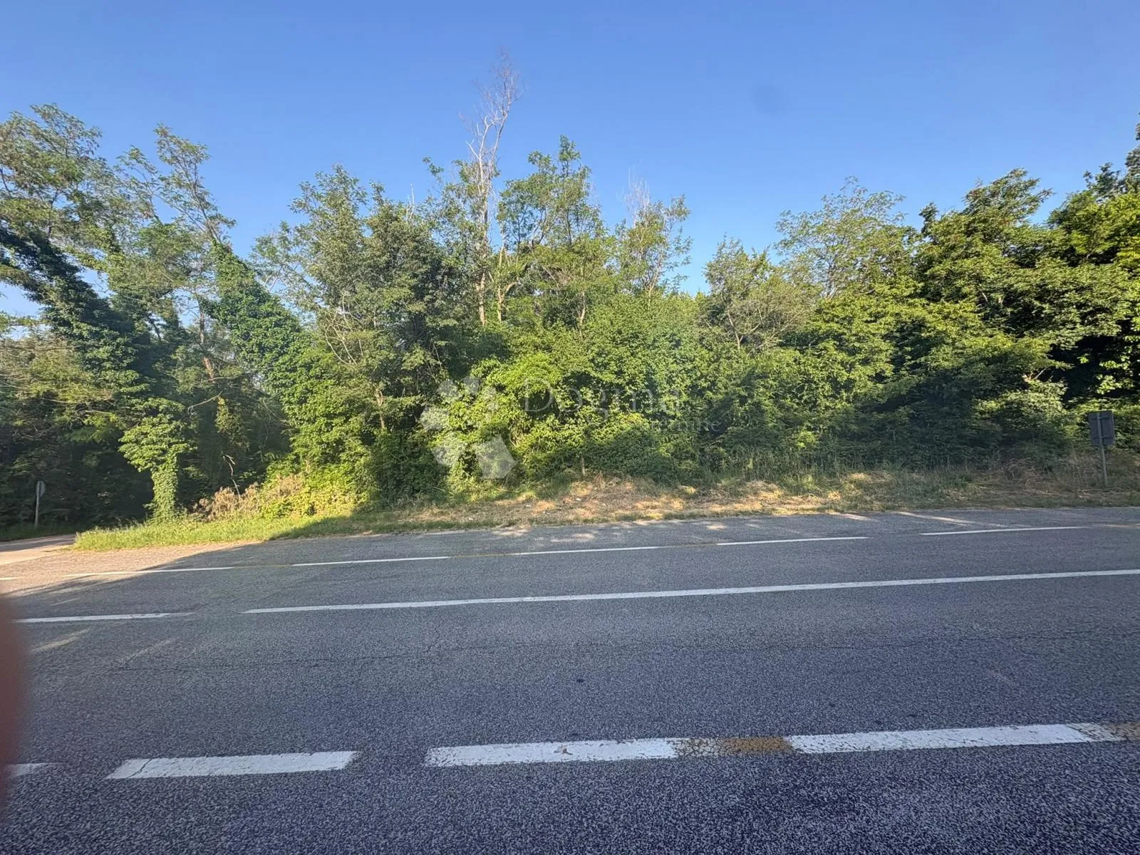 Poljoprivredno zemljište Baderna - Sveti Lovreč Pazenatički