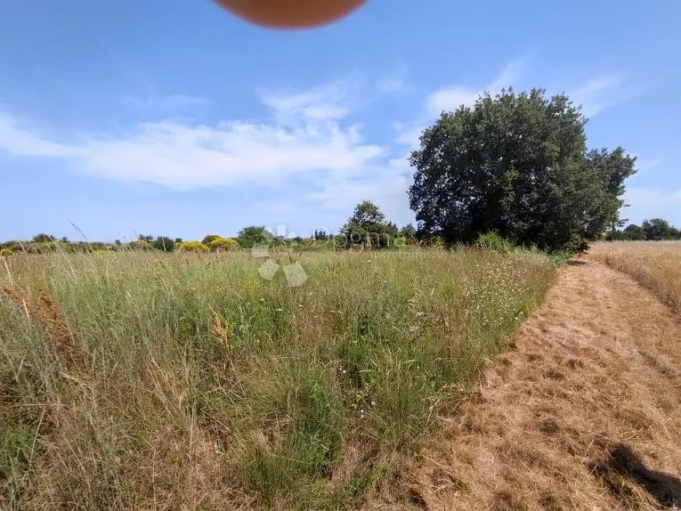 marčana, građevinsko zemljište za stambenu gradju - slika 2