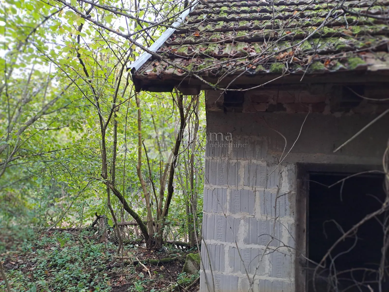 sniženo!!!velika kvadratura i 2kuće u napuštenom selu - slika 9