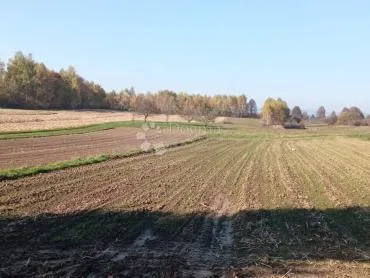imanje sa starinom u oštarijama - slika 5