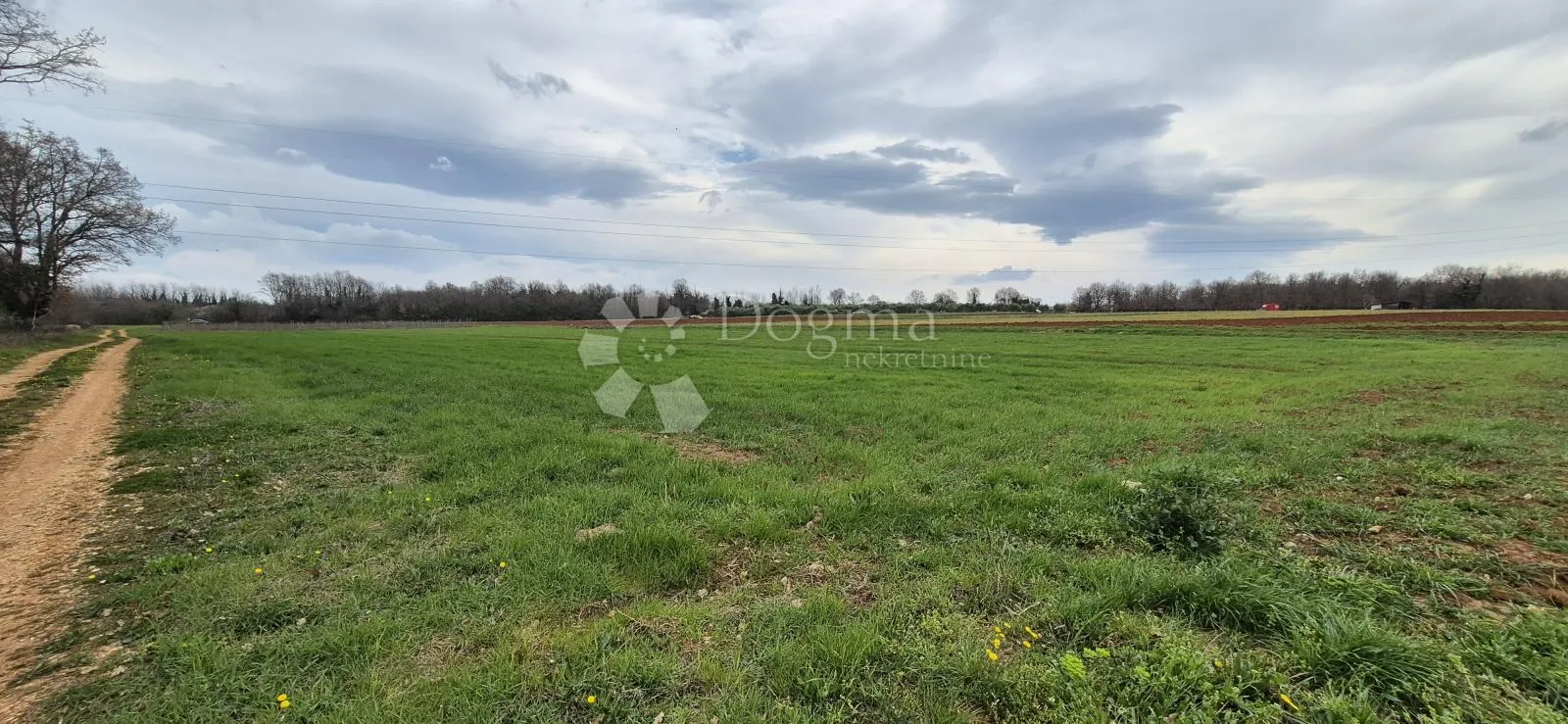 zemljište sa 60 maslina površine 10200 m2 - slika 18