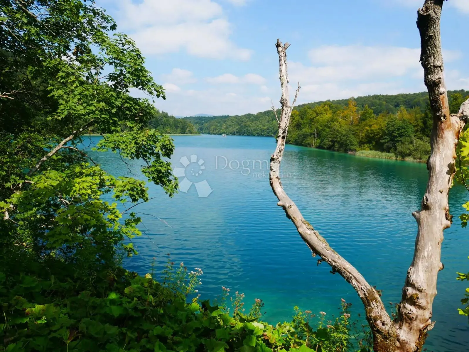 zemljište kod jezera kozjak, plitvice - slika 7